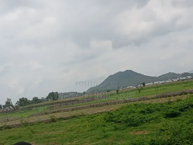 Deity Prime Commercial